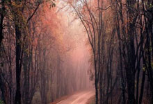 她笔下的天涯天地：方圆万里，也不止三百字。