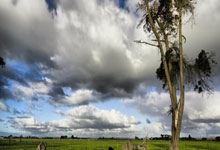 她笔下的天涯天地：方圆万里，也不止三百字。